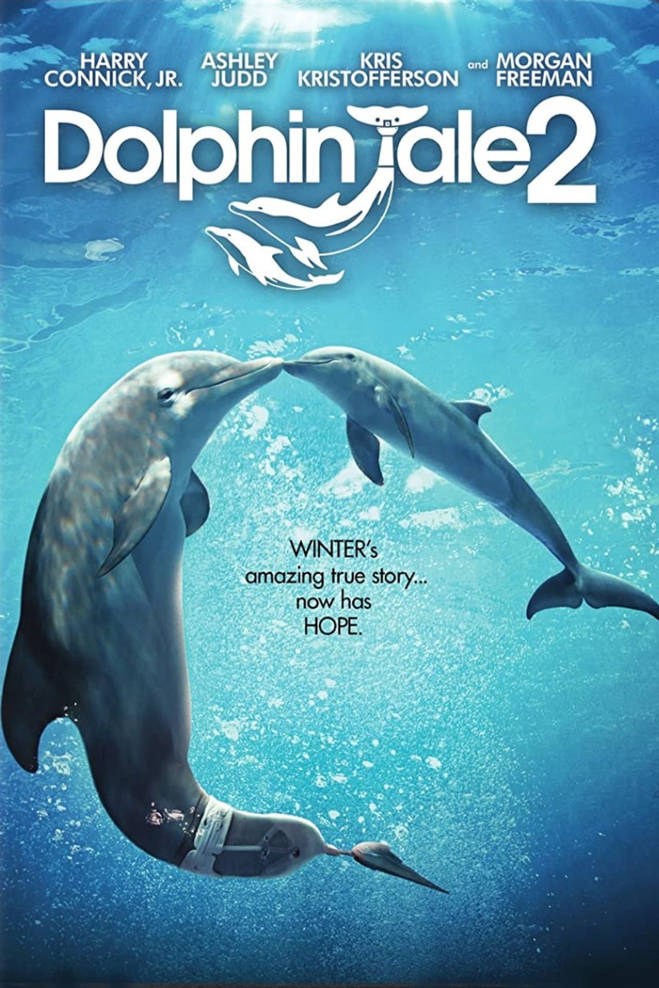 L'Incroyable Histoire de Winter le dauphin 2 — visuel 24
