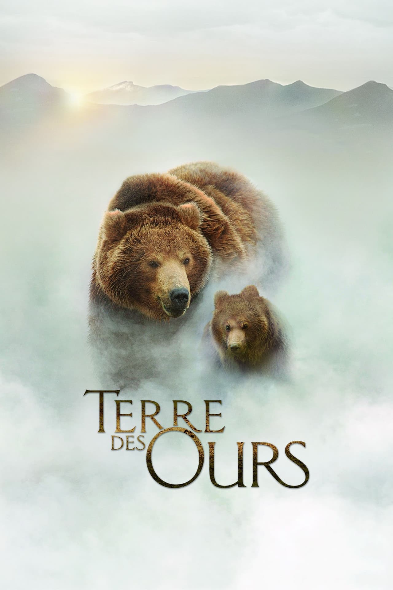 Terre des ours — visuel 6