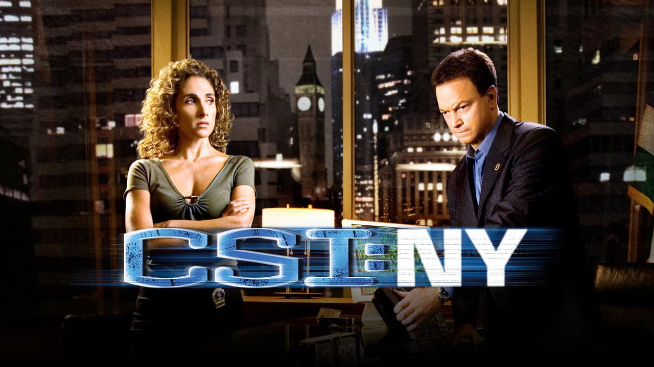 Les Experts : Manhattan — visuel 12