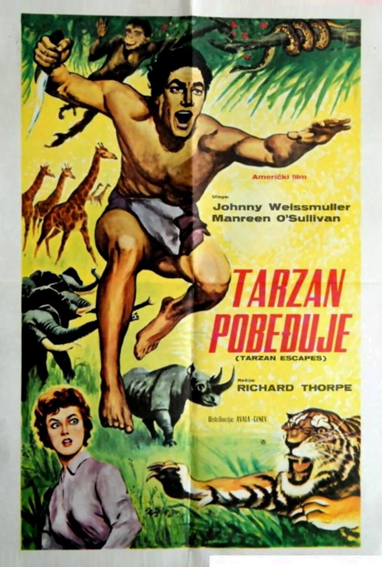 Tarzan s'évade — visuel 13