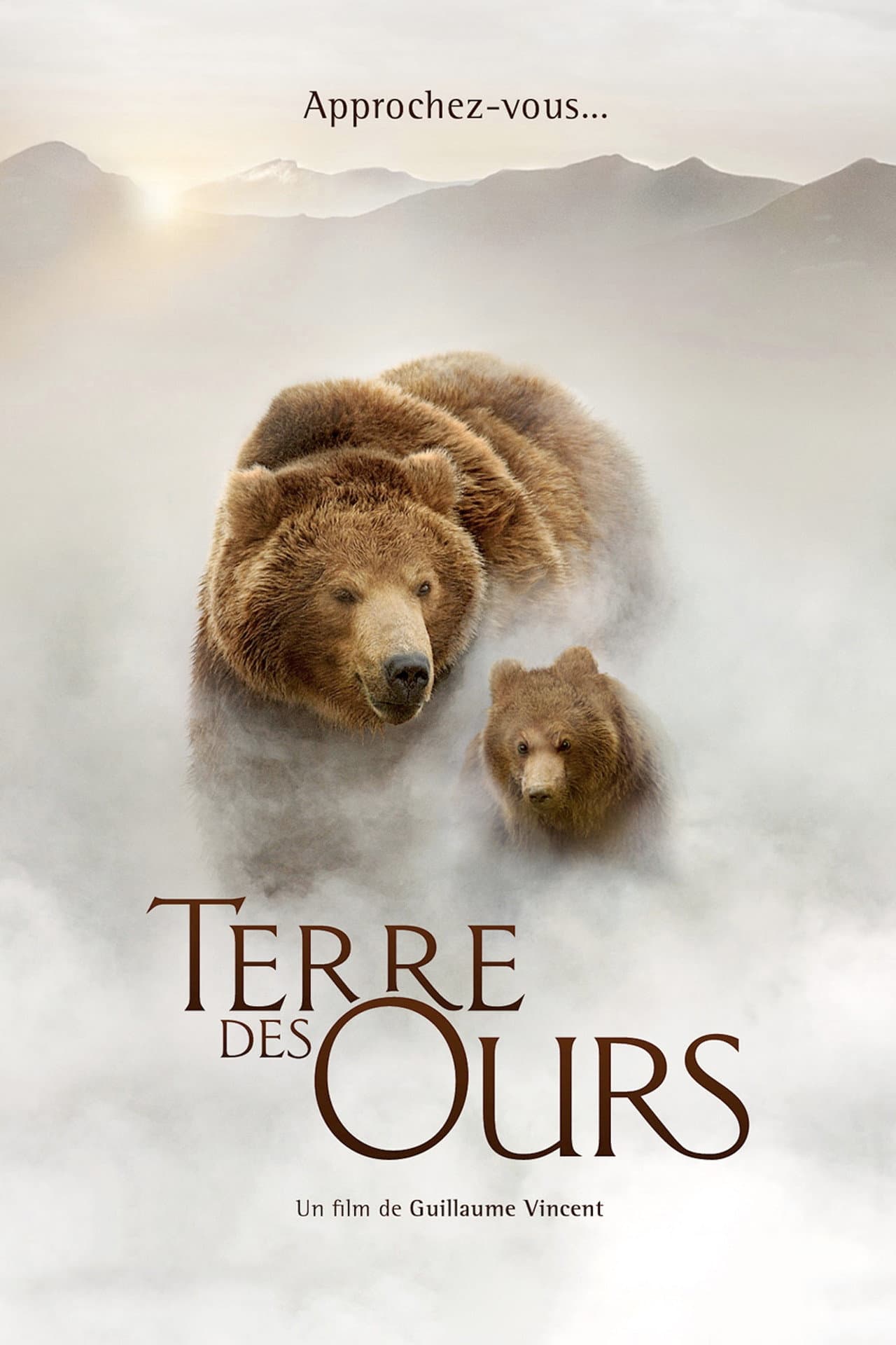Terre des ours — visuel 9