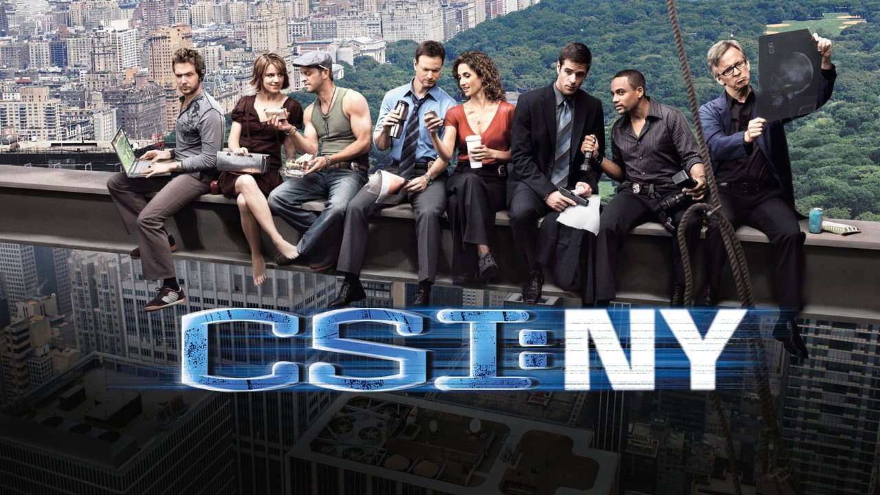 Les Experts : Manhattan — visuel 11
