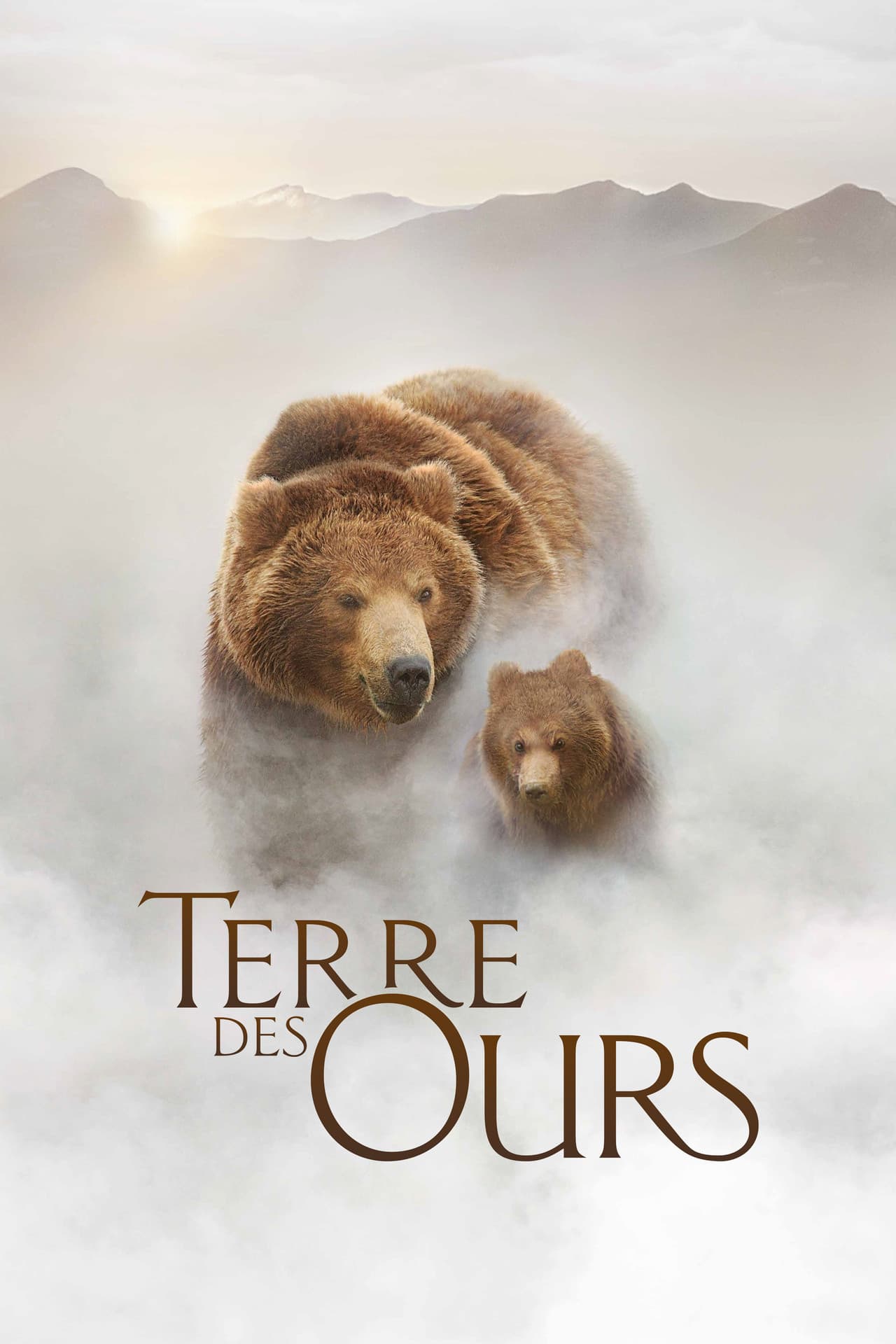 Terre des ours — visuel 5