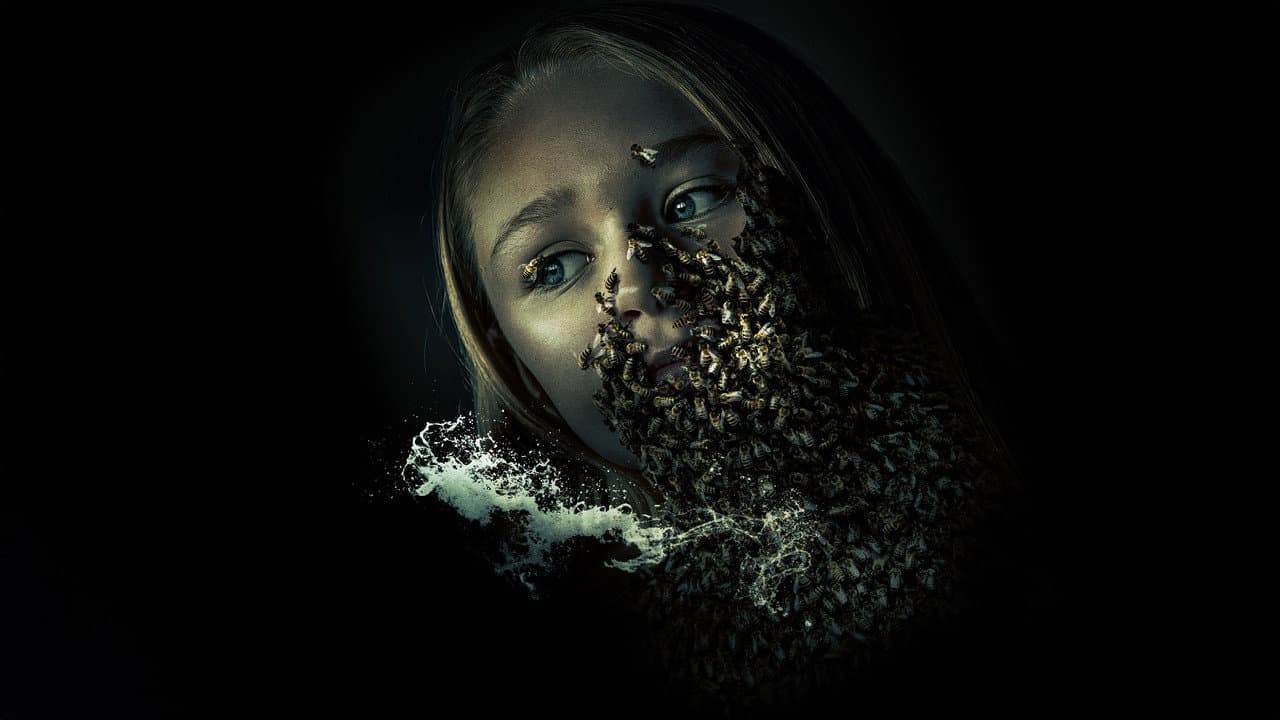 The King Tide — visuel 4