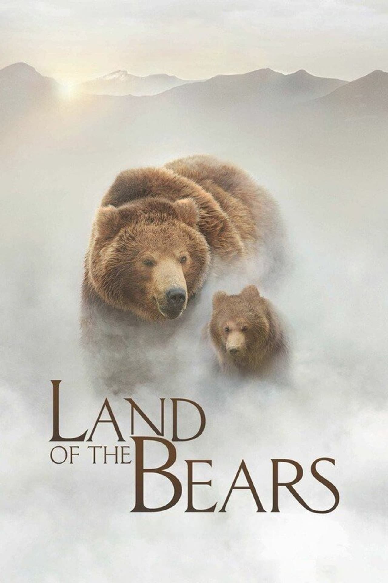 Terre des ours — visuel 11