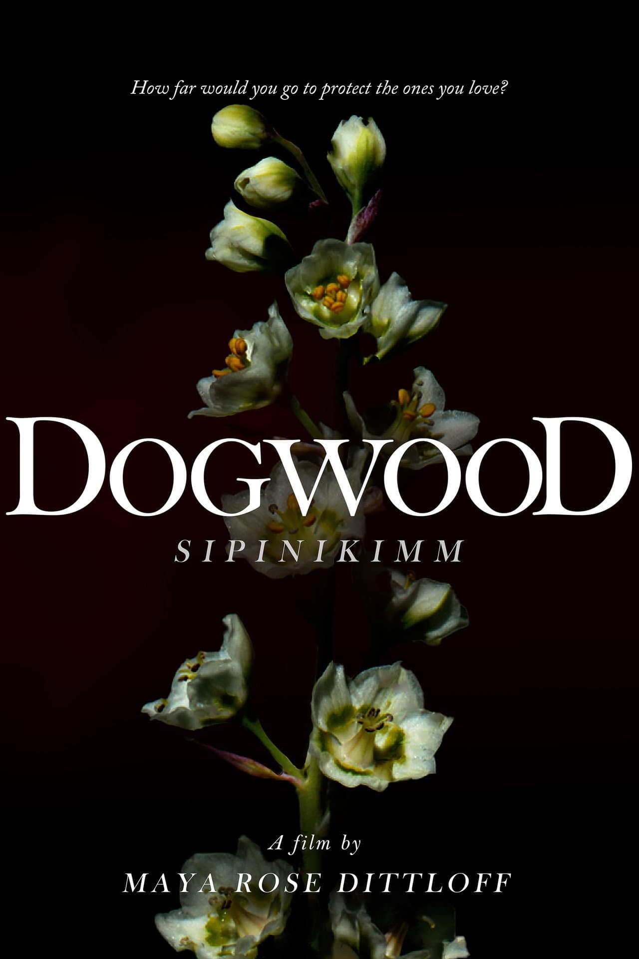 Dogwood (Sipinikimm) — visuel 1