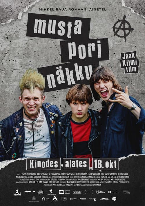 Musta pori näkku