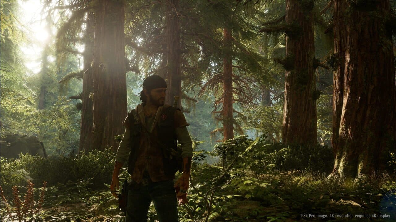 Days Gone — visuel 6