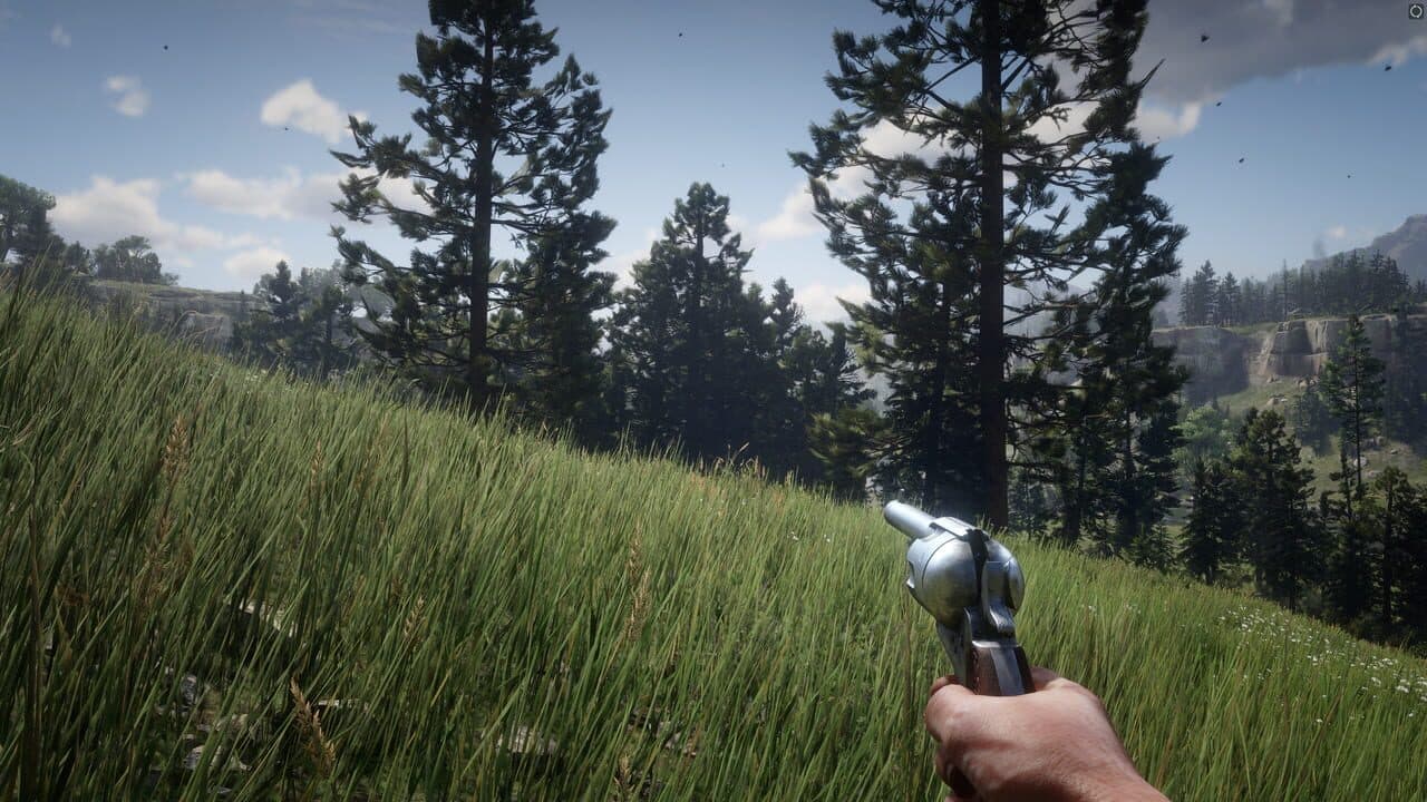 Red Dead Redemption 2 — visuel 26