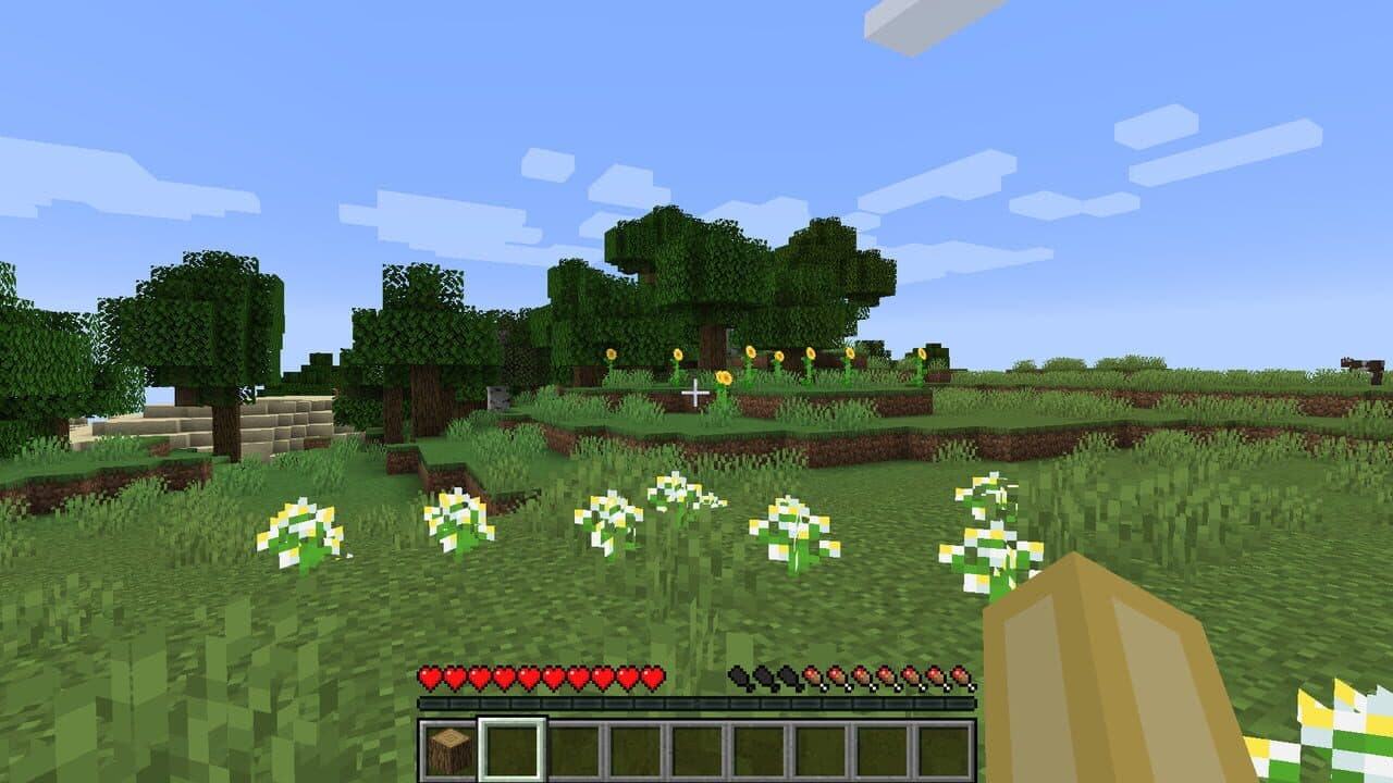 Minecraft: Java Edition — visuel 16