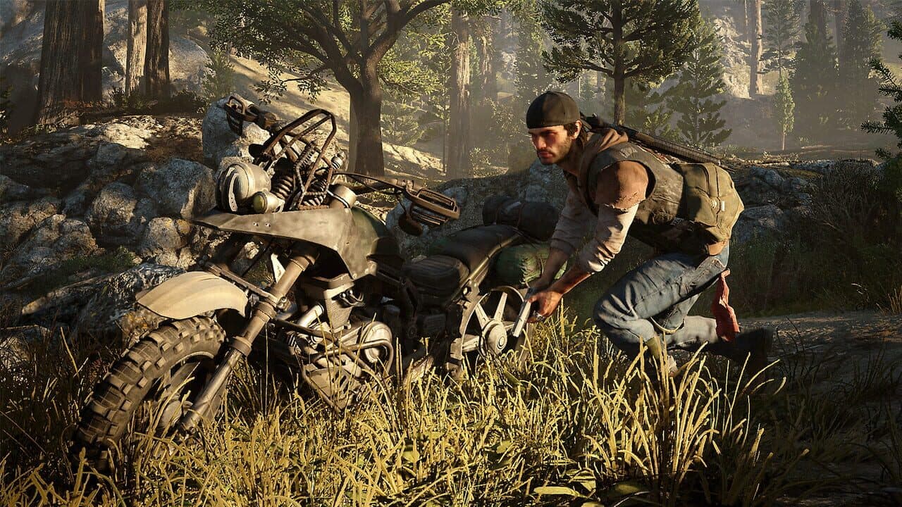 Days Gone — visuel 12